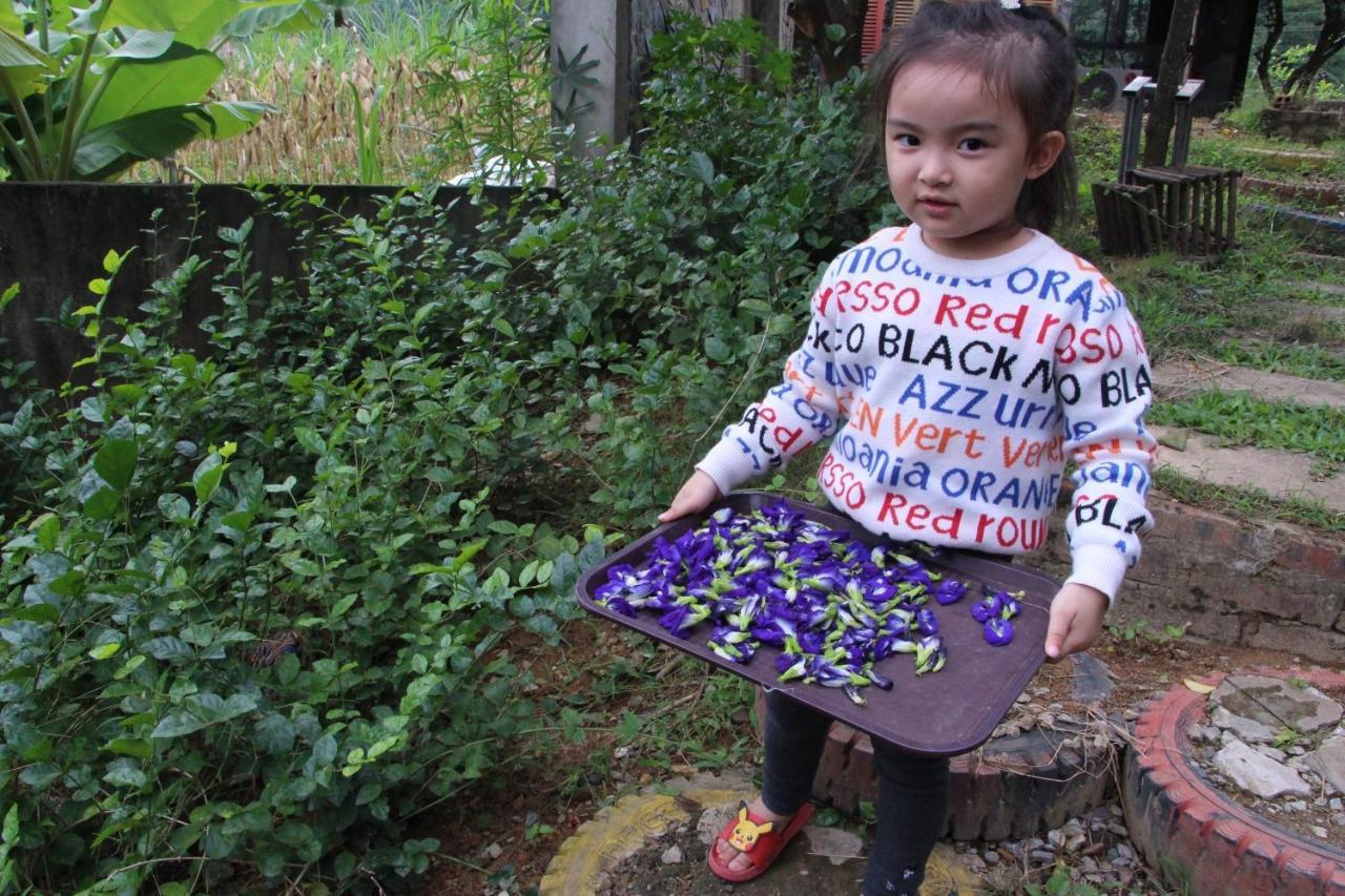 Maison Teahouse Homestay Ha Giang Dış mekan fotoğraf