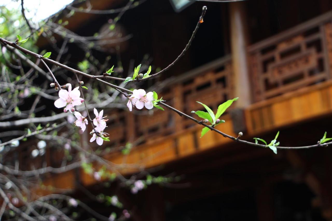 Maison Teahouse Homestay Ha Giang Dış mekan fotoğraf